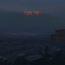 Stolen Forest - Ftotggc