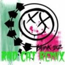 Blink 182 - Adam's Song