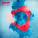 Signum - Coming On Strong (Tasso\'s Acid Remix)