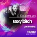 David Guetta & Akon - Sexy Bitch