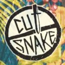 Cut snake - One Mans Memory (Original mix)