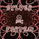 The Blastaz - Sylverfortem Breaks Remix