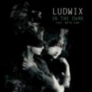 Ludwix feat. Katya Slok - In The Dark (Original mix)