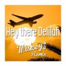 Plain White T\'s - Hey There Delilah (Miskeyz Remix)