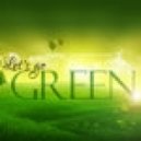 Boyko feat.Oleg Sobchuk & Flaer Smin - Can You Feel Love Tonight (Green 2015 Relax Edit)