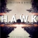Sebastiian & Byred - Hawk