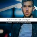 Calvin Harris vs Beatburger - Summer Python