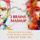 Zedd & Selena Gomez, Know Burns, Arno Cost - I want you to (3 Brains Mashup)