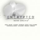 Encrypted Audio - Bone Orchid