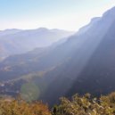 Dan InJungle - World For Love