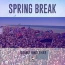 Something That - Spring Break (Original Mix)