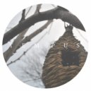 Tempus feat. Sarai Jazz - Remember Me (Original mix)