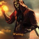 NoKey - Waiting...