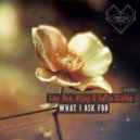 Lou Van, Sofia Zlatko, Vijay - What I Ask For (Original Mix)