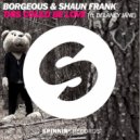 Borgeous & Shaun Frank feat. Delaney Jane - This Could Be Love (Mars3ll Remix)
