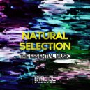 Abby J - Nature