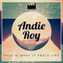 Armin van Buuren - This Is What It Feels Like (Andie Roy Remix)