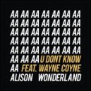 Alison Wonderland feat. Wayne Coyne - U Don't Know