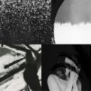 Static Palm - Burning Lily