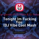 Enrique Iglesias vs. DJ Mexx & DJ Kolya Funk - Tonight Im Fucking You (DJ Vibe Cool Mash UP)