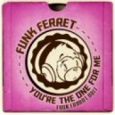 D Train - You\'re The One For Me (Funk Ferret Edit)