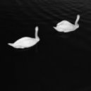 Cashmere Cat feat. Ariana Grande - Adore