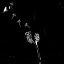 LuQuS - Fall (Original mix)