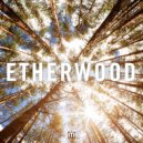 Etherwood - Give It Up (ALB Bootleg)
