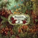 Braeden Bailey - Colossus