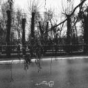 Dashevsky - Don't Leave Me