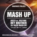 Avicii vs. Vicetone - Hey Brother (Dj Nilov Mashup)