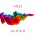 Ricin - Now Or Never (Alex Sounds Remix) (Original Mix)