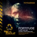 Fortitude - Purifying Me