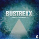 Bustrexx feat.Tessa Der Kinderen - A Common Element