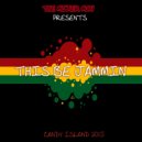The Mixer Man - This Be Jammin