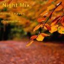Dj Night Mix - Autumn leaves (Original mix)