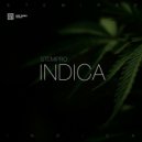 Stemipro - Indica (Original mix)