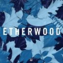 Etherwood - Cast Away (Tarz Remix)
