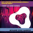 Ost & Meyer with Ronski Speed & Taylor Swift - I Knew You Were Fortress (Armand Cold Mashup)