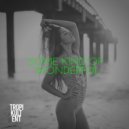 N2N & John Skyfield feat. Kirkby - Some Kind of Wonderful (Original Mix)