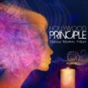 Hollywood Principle - Seeing What's Next