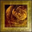 LUZCID feat. Morgan Renée Hall - Dripping In Gold