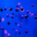 Funkerr - Love iz Deep MnML mix 10.15 ()