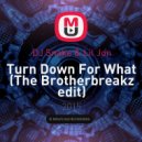 DJ Snake & Lil Jon - Turn Down For What
