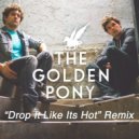 Snoop Dogg - Drop It Like Its Hot (The Golden Pony Remix)