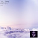 Jay Bird - Winter Piano (Original)