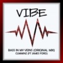 Cumminz feat. James Ford - Bass In My Veins