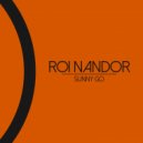 Roi Nandor - Music Law (Original Mix)