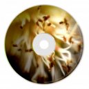 Co & Romarin - Heroes Deep (Original mix)