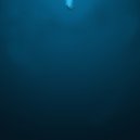 Fortune - Dive (Original mix)